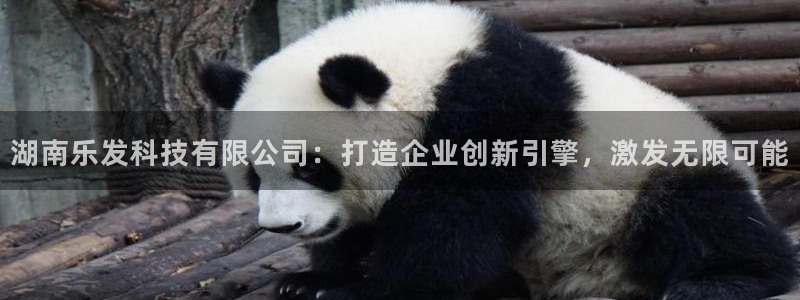 恒行科技赋能,让平台更有趣：湖南乐发科技有限公司：打造企业创新引擎，激发无限可能