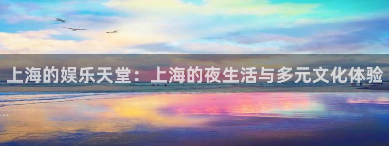 壹号大舞台下载：上海的娱乐天堂：上海的夜生活与多元文化体验
