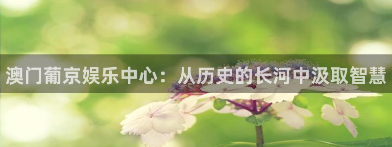 恒行下载入口：澳门葡京娱乐中心：从历史的长河中汲取智慧