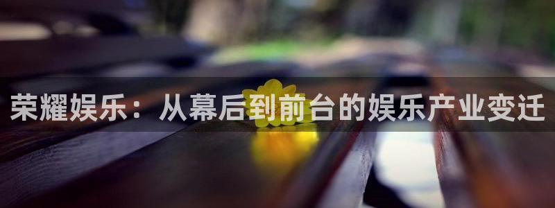 壹号大舞台娱乐传媒：荣耀娱乐：从幕后到前台的娱乐产业变迁