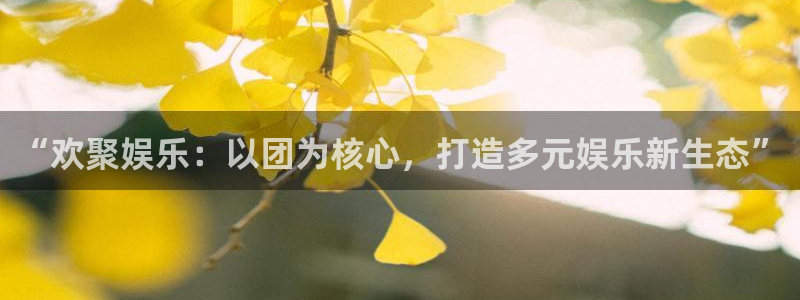 壹号大舞台有梦你就来：“欢聚娱乐：以团为核心，打造多元娱乐新生态”