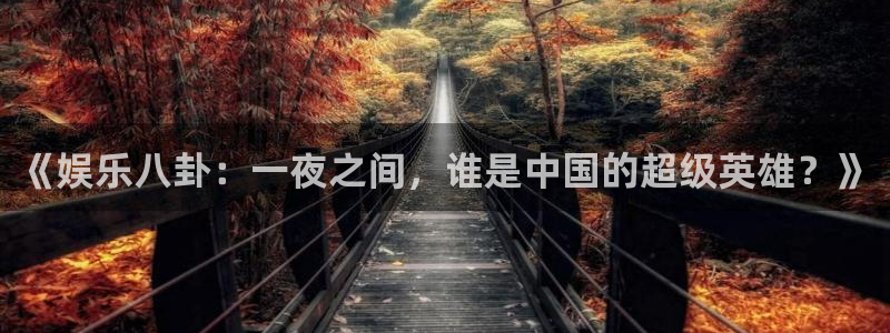 恒行官方网站下载：《娱乐八卦：一夜之间，谁是中国的超级英雄？》