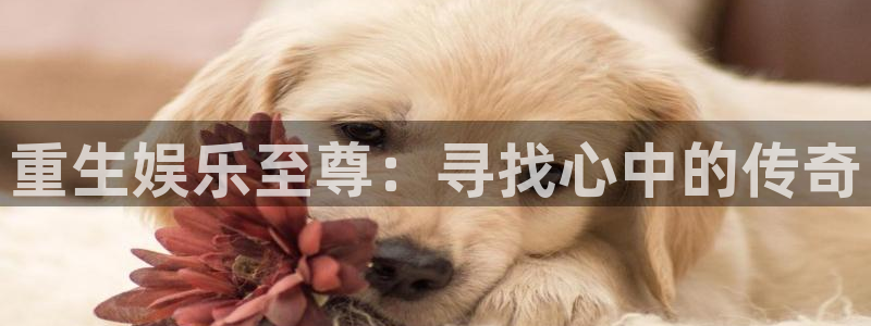恒行app下载：重生娱乐至尊：寻找心中的传奇