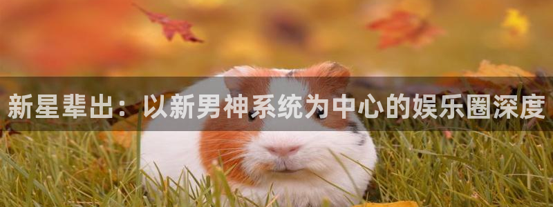 恒行-ng大舞台,有梦你就来：新星辈出：以新男神系统为中心的娱乐圈深度