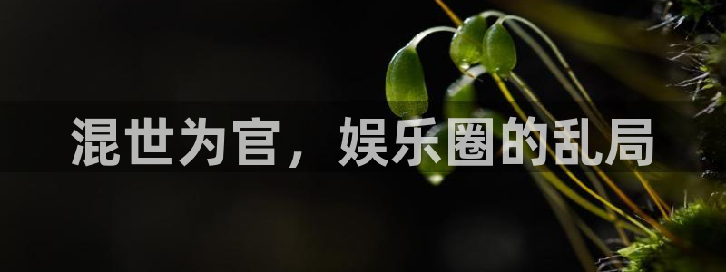 壹号平台app下载安装：混世为官，娱乐圈的乱局