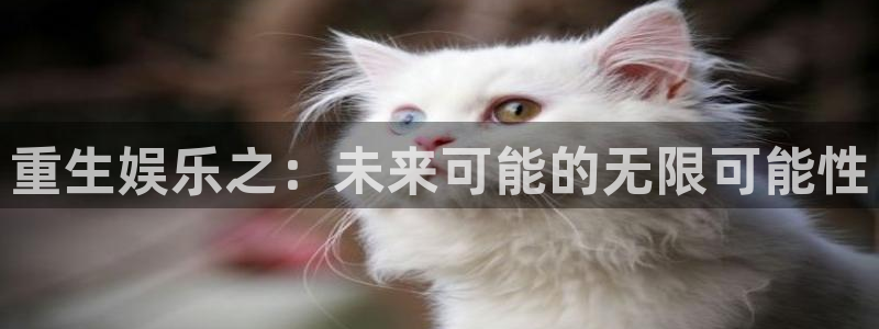 恒行,apk：重生娱乐之：未来可能的无限可能性