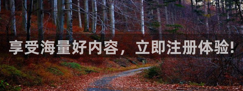 壹号app下载官方网站：享受海量好内容，立即注册体验!