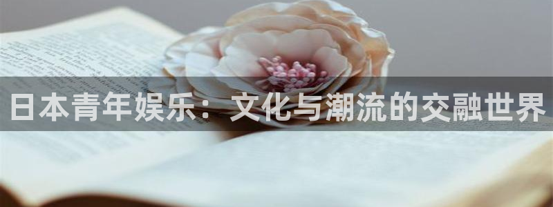 壹号大舞台入口：日本青年娱乐：文化与潮流的交融世界