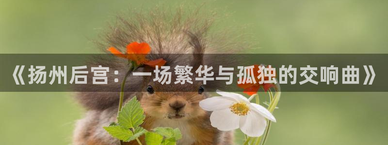 壹号top娱乐：《扬州后宫：一场繁华与孤独的交响曲》