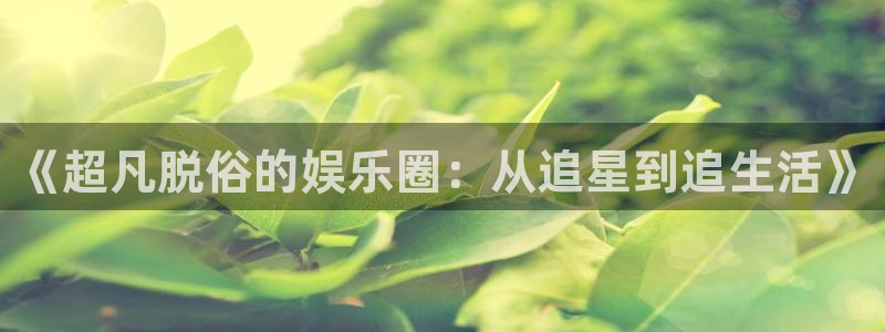 恒行app网页入口：《超凡脱俗的娱乐圈：从追星到追生活》