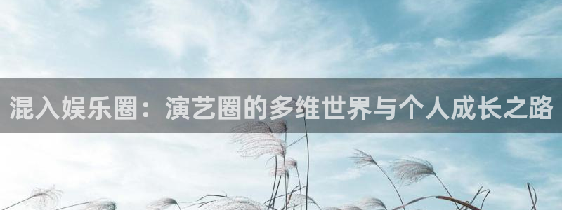 恒行退款怎么退：混入娱乐圈：演艺圈的多维世界与个人成长之路