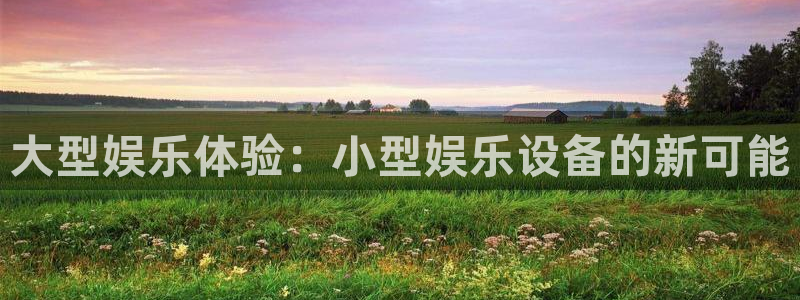 壹号平台注册链接官网下载：大型娱乐体验：小型娱乐设备的新可能