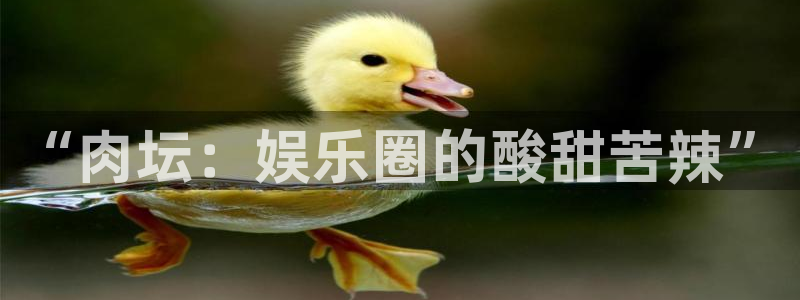 恒行怎么下载：“肉坛：娱乐圈的酸甜苦辣”